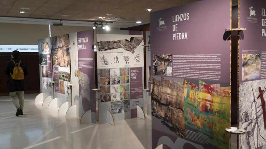 &#039;Lienzos de piedra. Arte rupestre del occidente de Castilla y León&#039; , la nueva exposición del Archivo Histórico Provincial de Zamora.