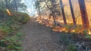 Desplegados cuatro hidroaviones y cuatro helicópteros por un incendio en Vilaboa