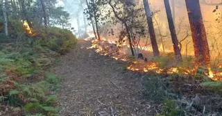 Un incendio forestal en Vilaboa calcina cerca de una hectáreas en el lugar de Paredes