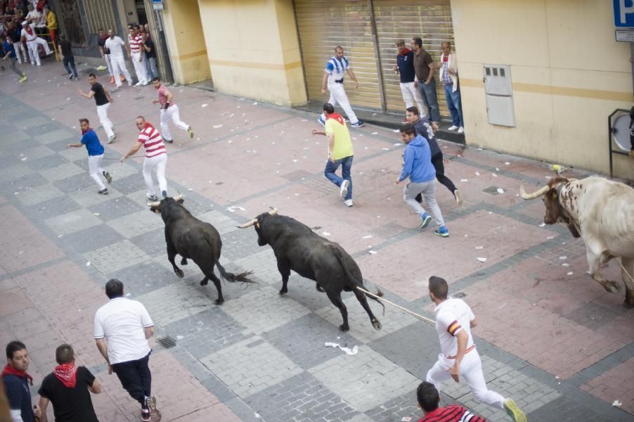 Becerrada, encierros y vaca de la sangría