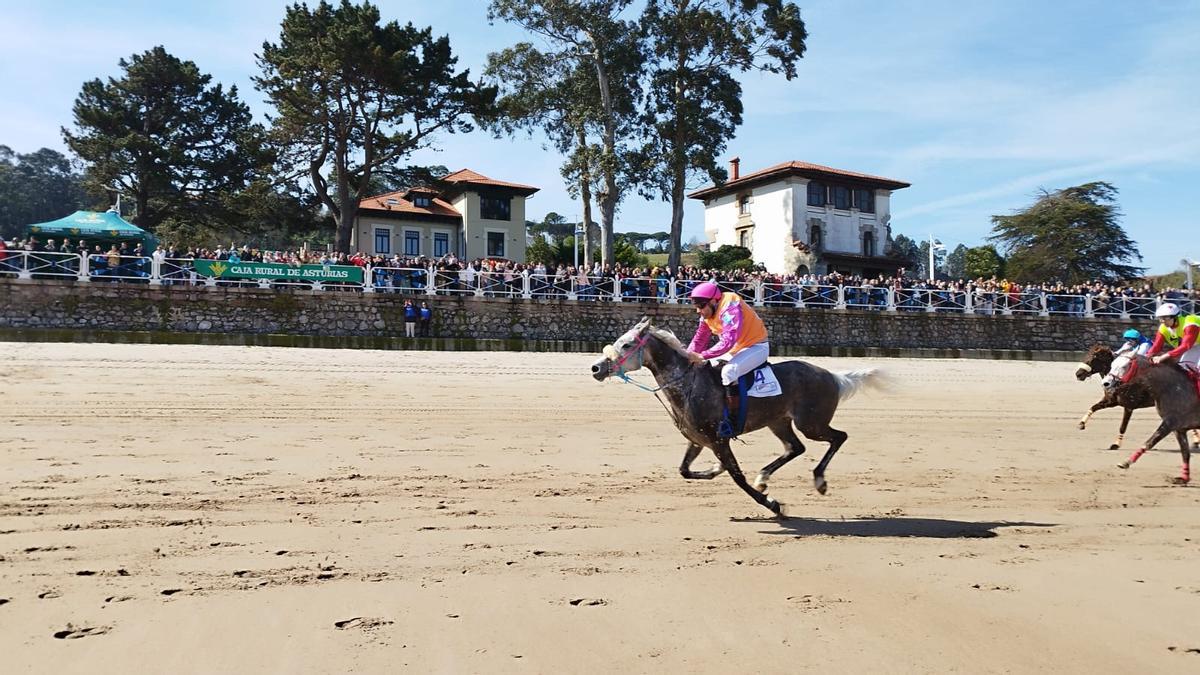 Multitudinaria asistencia en la primera jornada de las carreras de caballos "Playa de Ribadesella"