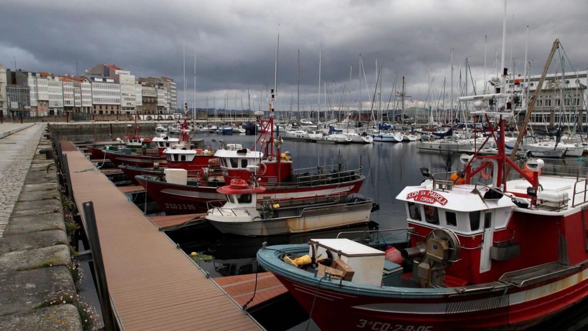 Flota de bajura amarrada al puerto de A Coruña, principal colectivo de la pesca gallega. |   // L.O.