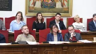 Las ediles Marga Antón y Puri Vives no repetirán en la lista del PSOE de Elche