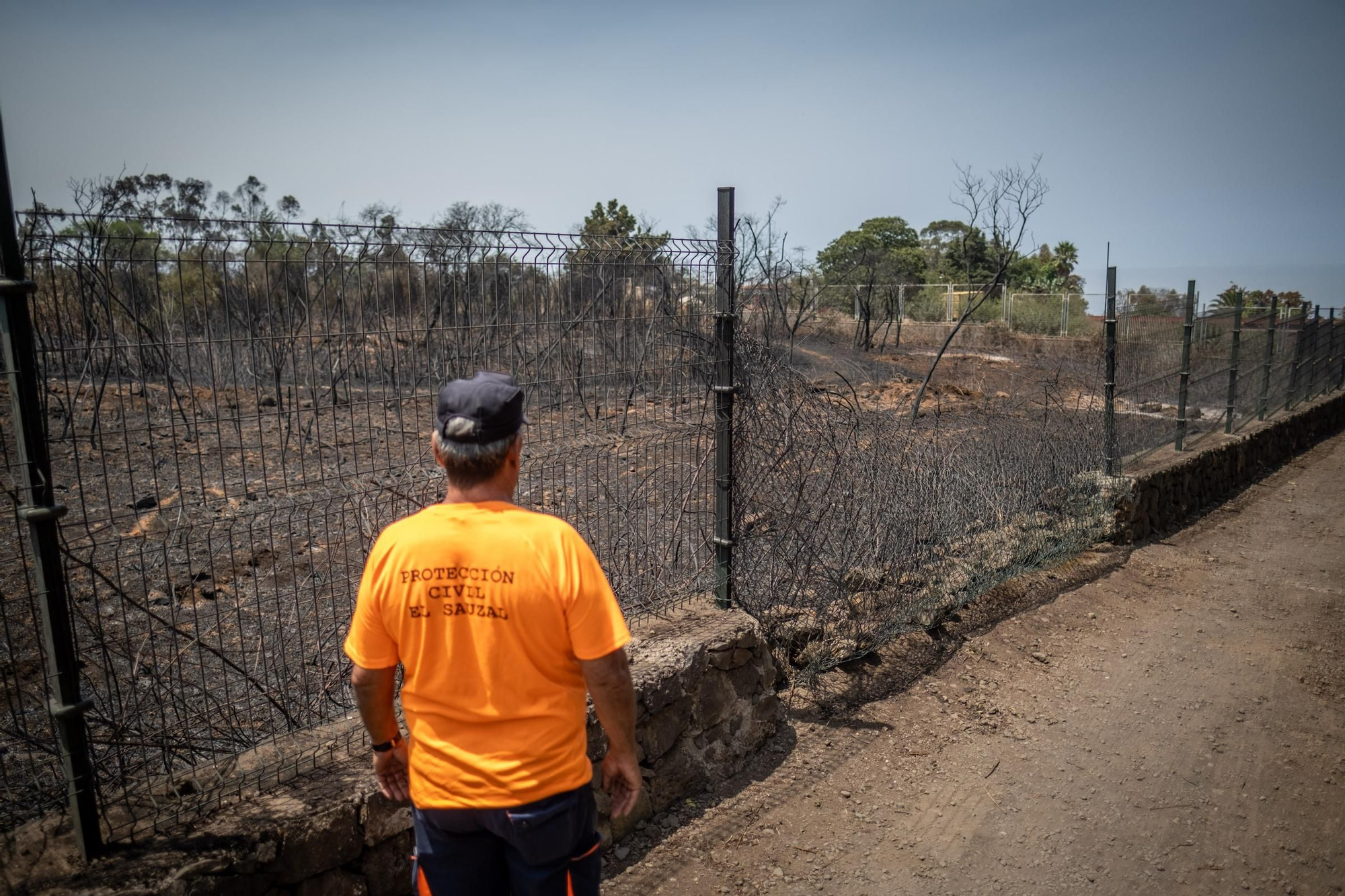 Monitoring of the fire in Tenerife