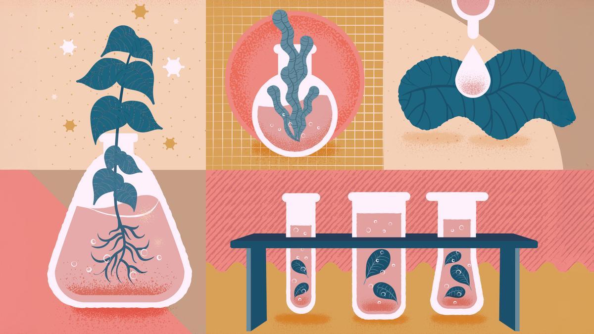 ¿A quién pertenece la ciencia?