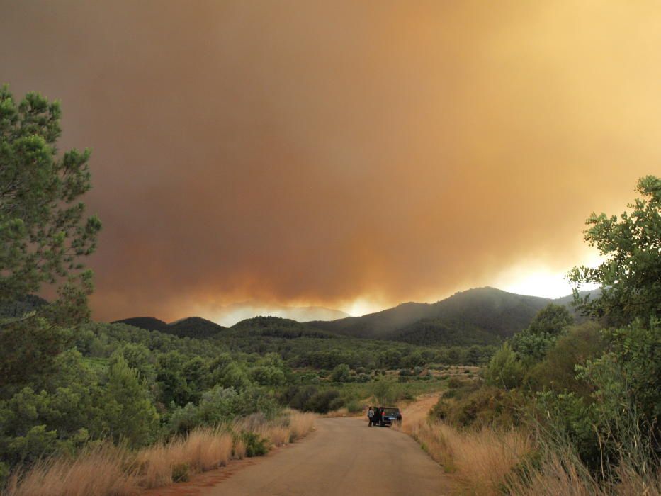 Incendio forestal en Artana