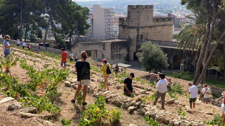 Dénia sigue recuperando la «pedra seca» en el castillo | LEVANTE-EMV