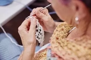 Imatges d'algunes de les activitats que ofereix el programa