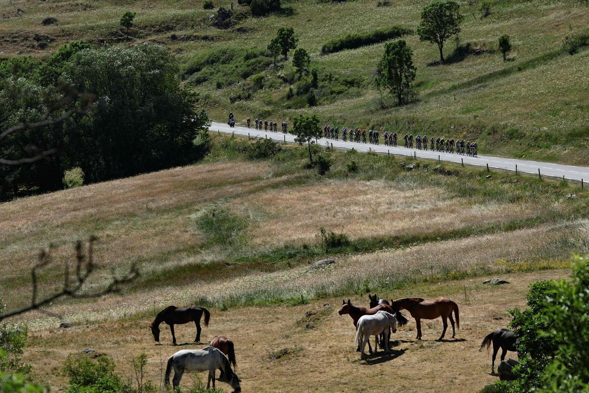 Pogacar gana su primera etapa de esta edición del Tour de Francia con un magnífico sprint en Les Angles Pogacar gana su primera etapa de esta edición del Tour de Francia con un magnífico sprint en Les Angles