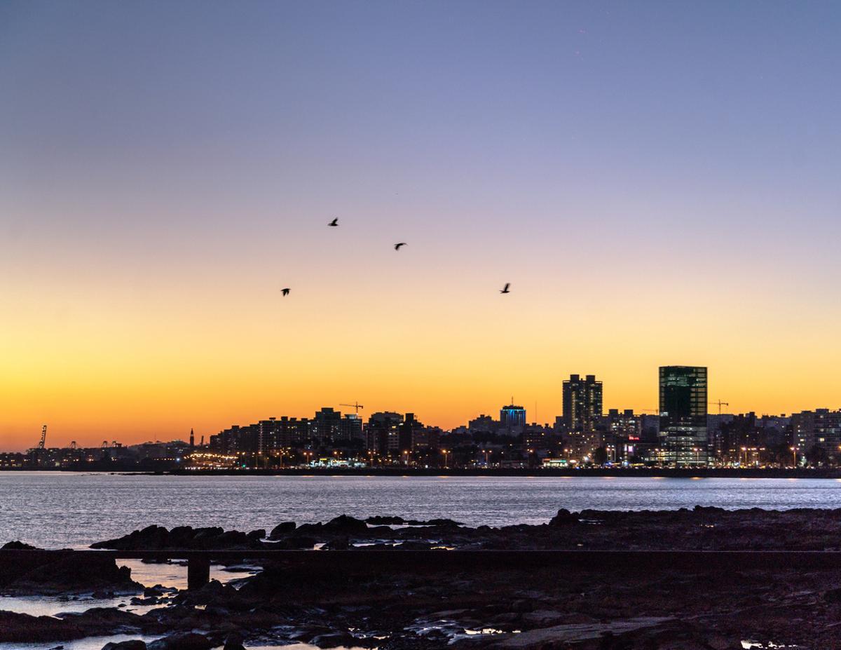 Todas las tardes la Rambla de Montevideo reúne a locales y visitantes