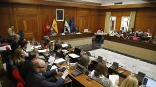 El Pleno de Córdoba aprueba la subida salarial de los funcionarios pero queda pendiente la 'extra' del 2%