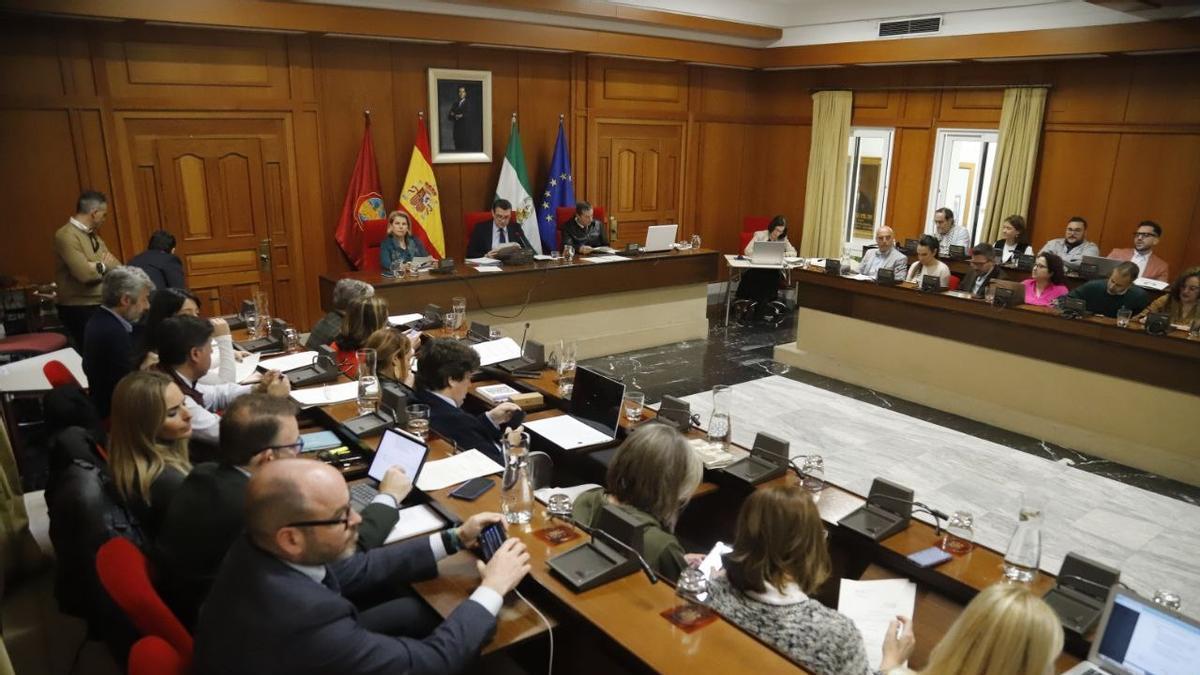 Sesión plenaria en el Ayuntamiento de Córdoba donde, entre otras cosas, se ha aprobado la subida salarial del 3,5% para los funcionarios municipales.