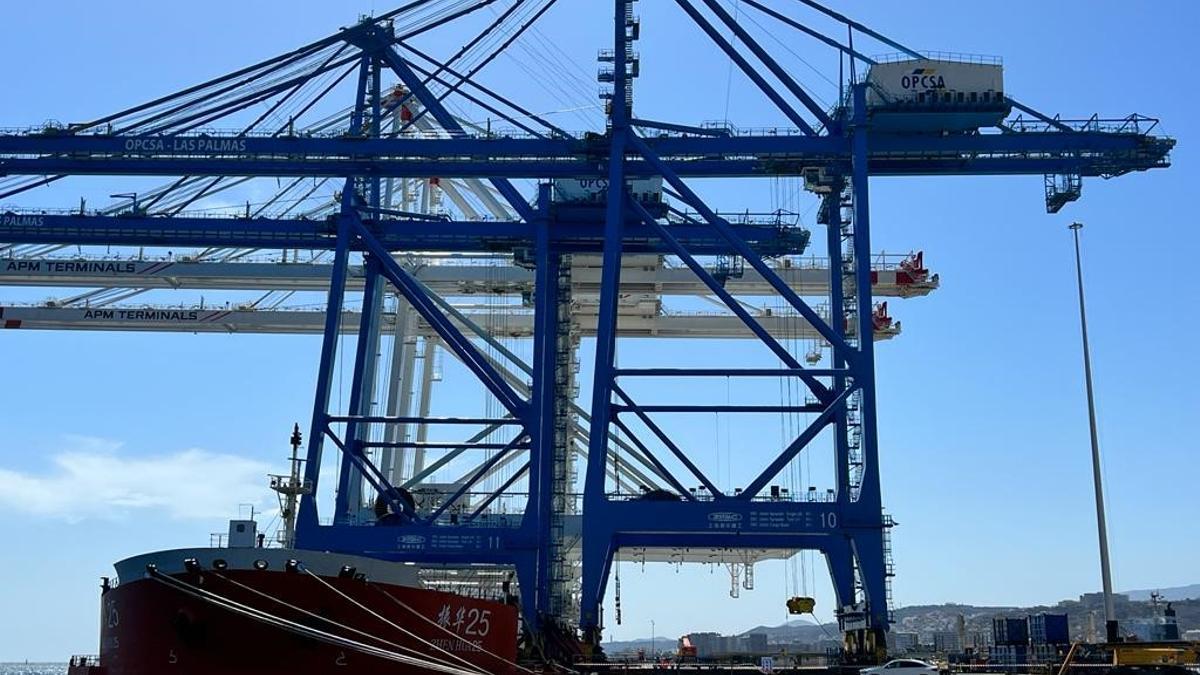 Una de las dos 'megagrúas' tras ser descargada en el muelle Cristóbal Colón.