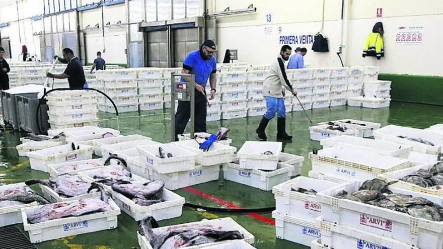 Operarios organizan la distribución de cajas de pescado en el interior de la lonja viguesa. // Alba Villar