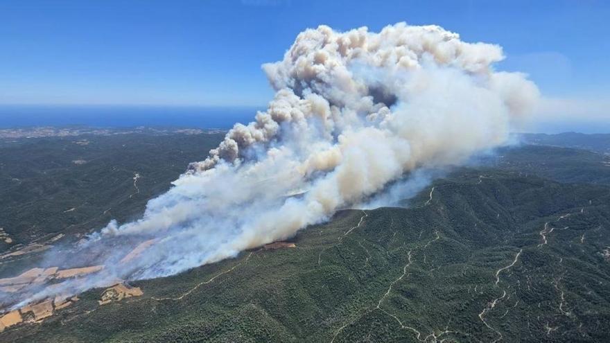 El incendio iniciado Girona afecta ya a 35 hectáreas