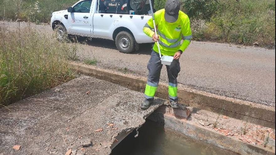 Las balsas rurales abandonadas en el término municipal de Vila-real son auténticos criaderos de mosquitos.