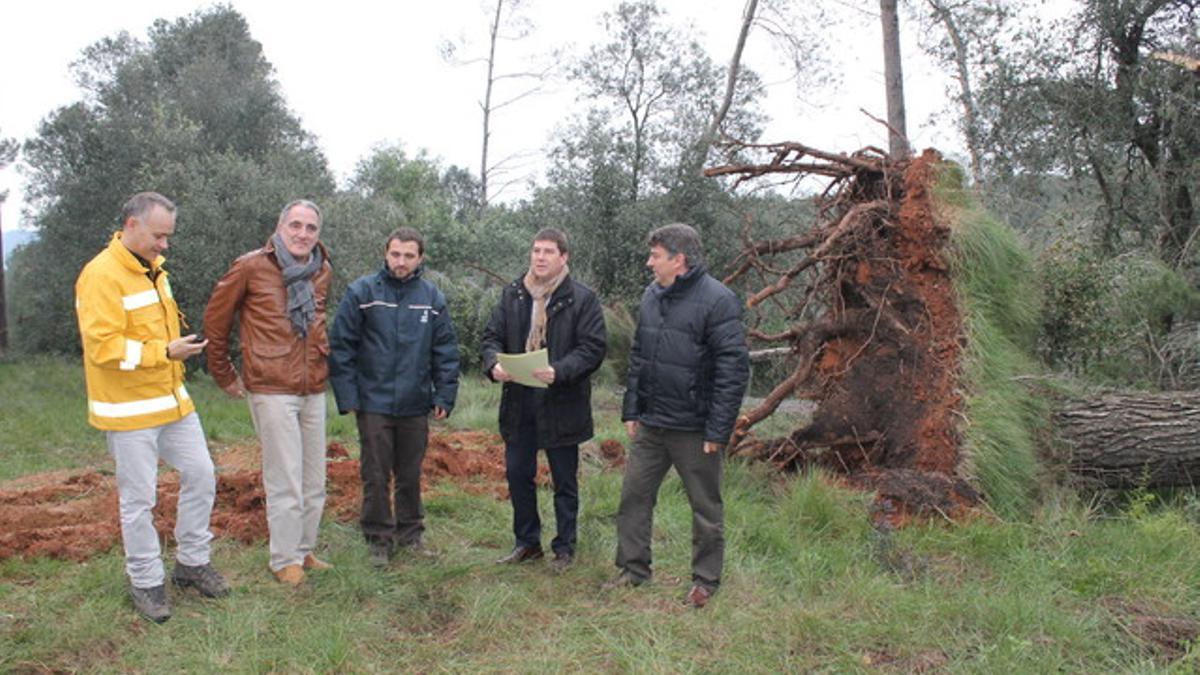 Sabadell prepara un plan de recuperación de su entorno natural después del vendaval