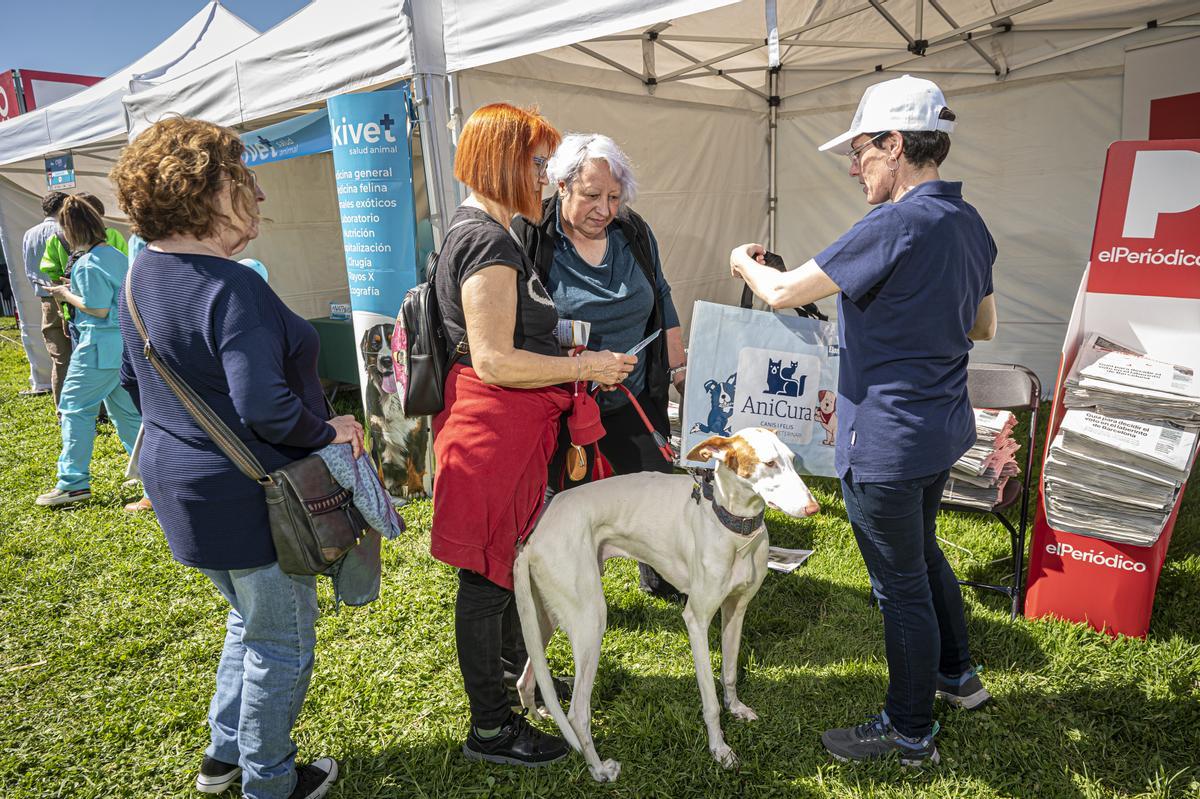 CAN WE RUN BARCELONA. La carrera organizada por Prensa Ibérica y El Periódico de Catalunya con la colaboración de Sport ,  donde las personas y sus mascotas perrunas corren en familia