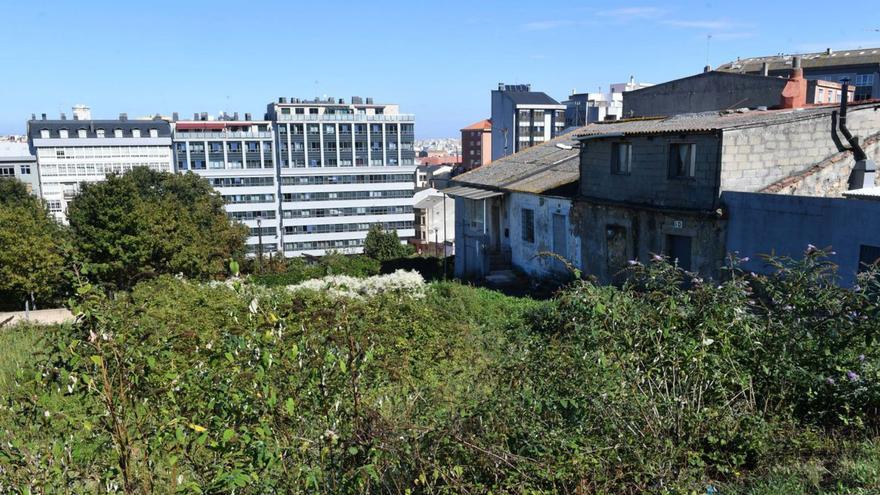 La vida que resiste y emerge en medio del limbo urbanístico de A Coruña