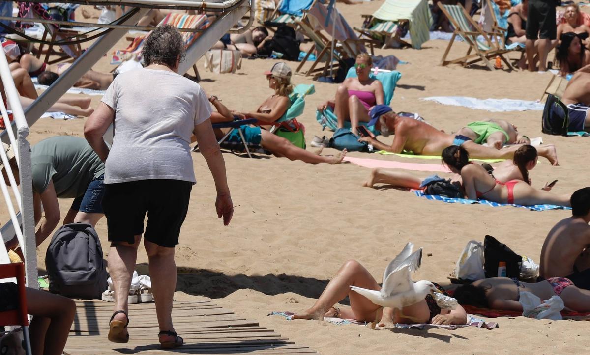 La curiosa escena con una gaviota y un bocadillo en Gijón, en imágenes