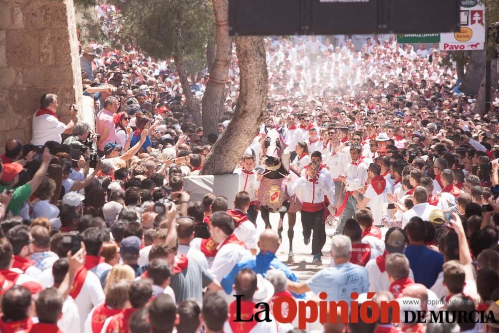 Carrera de los Caballos del Vino