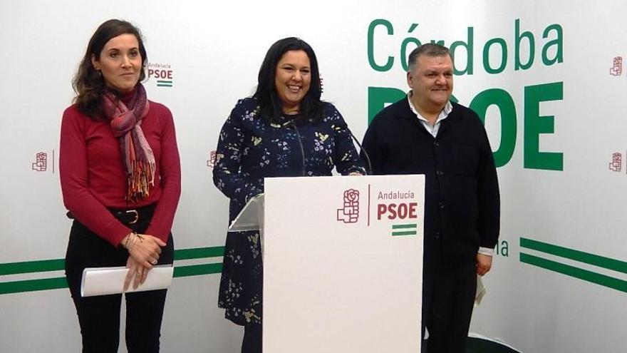 Los socialistas cordobeses exigirán al Gobierno andaluz que no derogue las leyes de igualdad