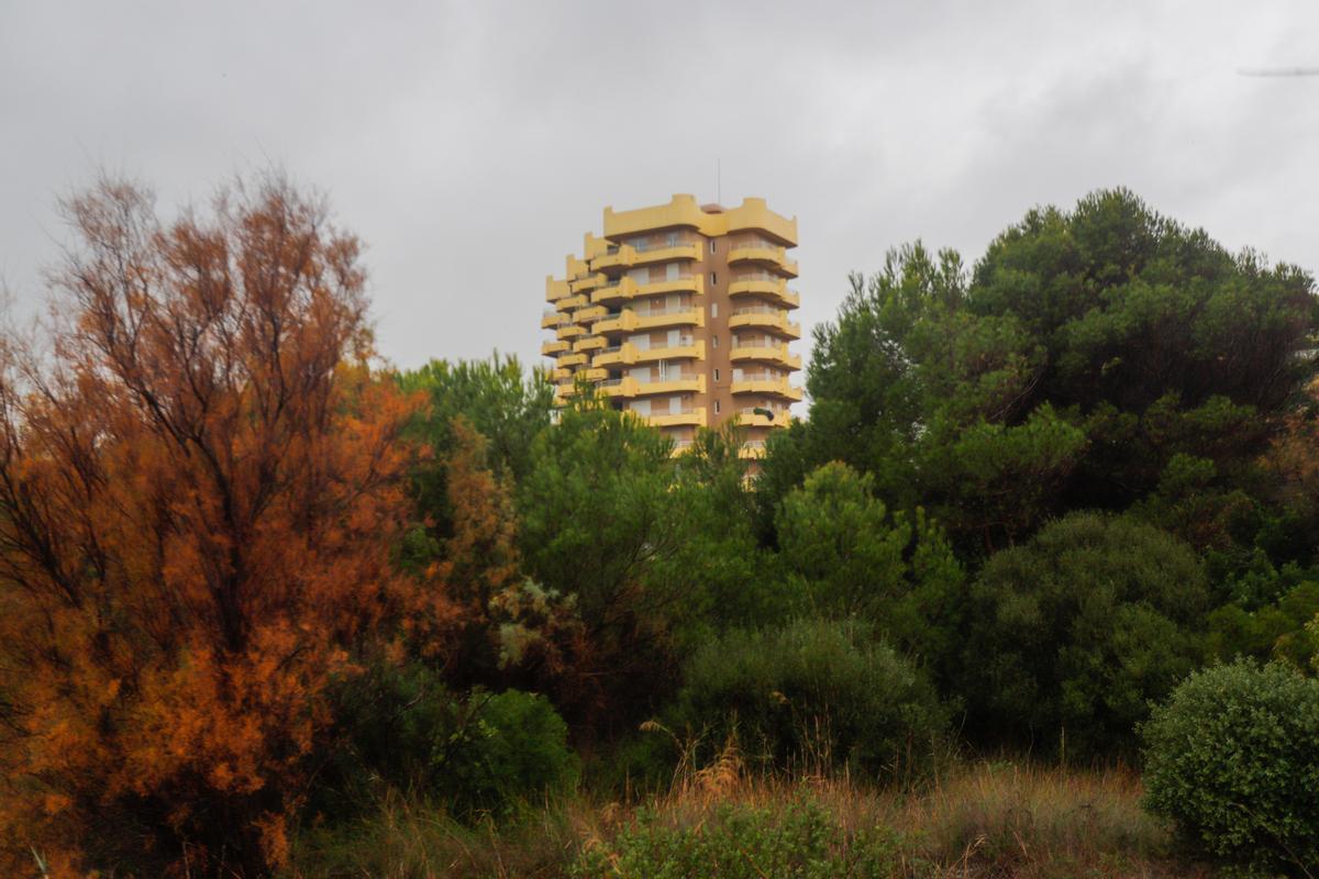 Edificaciones en el bosque de la Devesa en torno a las cuales habría que levantar cortafuegos de 30 metros de ancho.