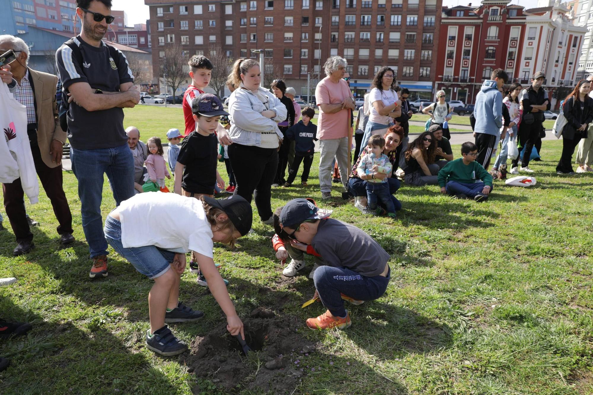 Así fue la plantación de árboles en el Solarón (en imágenes)