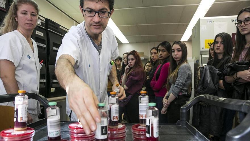 Visita de estudiantes de FP al laboratorio de microbiología del Hospital Vall d’Hebron.