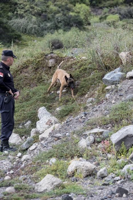 Reportaje a la Unidad Canina de la Policia ...