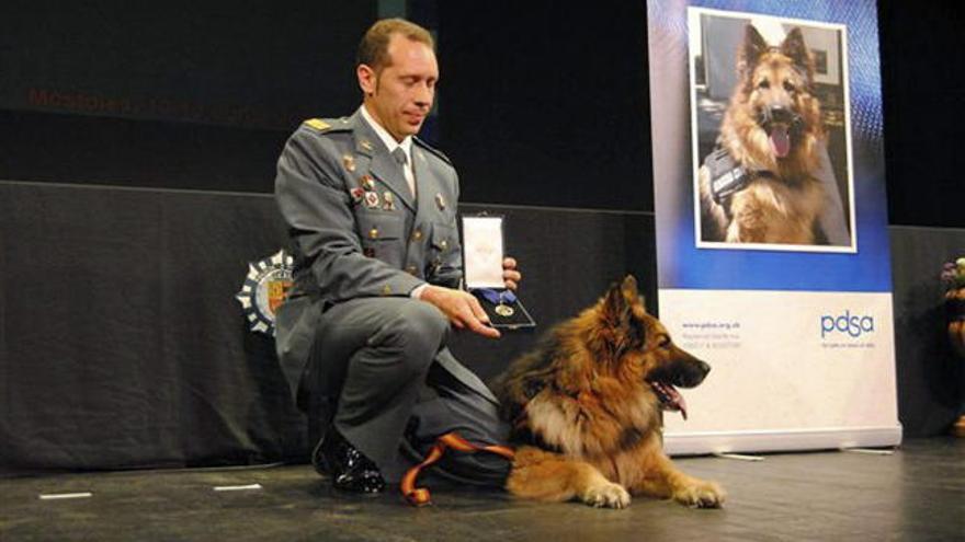 El perro de la Guardia Civil Ajax será homenajeado.