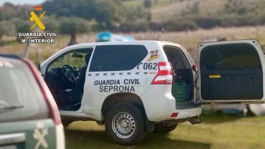 La Guardia Civil investiga un caso de maltrato y abandono de animales en una explotación ganadera en Cáceres