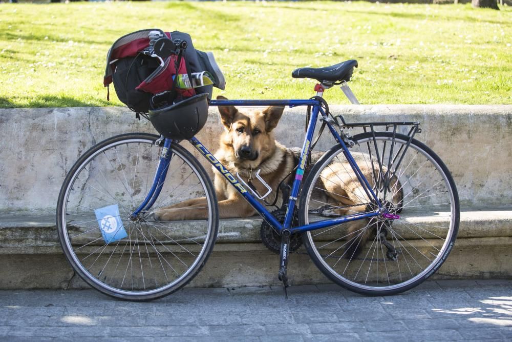 Una mañana ciclista en el Campo San Francisco