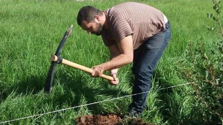 El alcalde en funciones cava ante la falta de jardinero