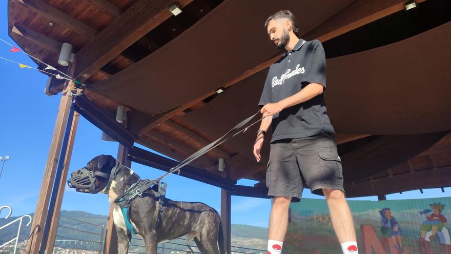 Más de 30 perros desfilan en la Feira de Adopcións de Moaña