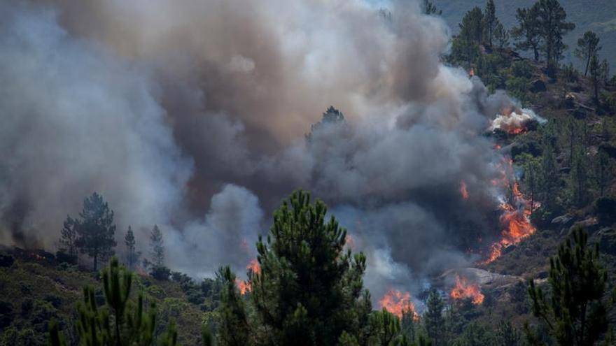 Muere un bombero cuando combatía un incendio en el centro de Portugal