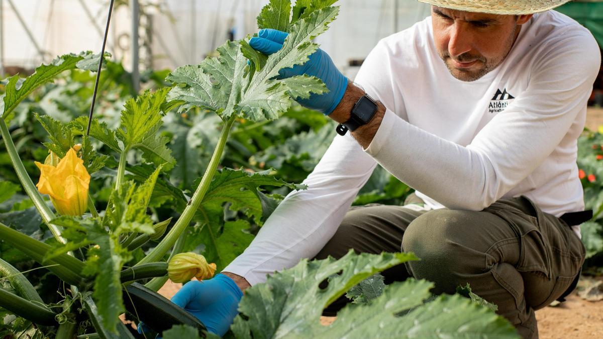 La empresa trabaja bajo la premisa de que una agricultura mejor para todos no solo es posible, sino necesaria.