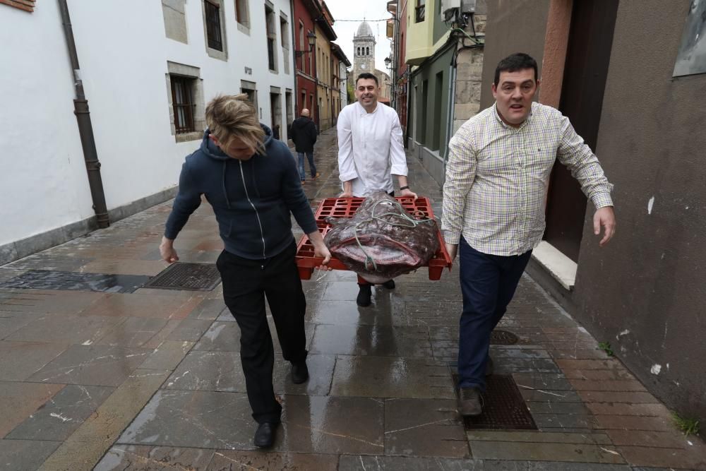 El pixín de 55 kilos del Guernica sorprende a los comensales