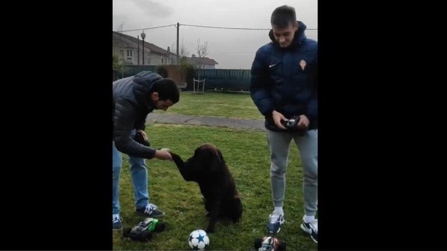 Pedro Díaz y su hermano Pablo, junto a su mascota en el vídeo subido a redes sociales.