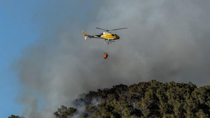 Controlan el primer incendio forestal del año en Eivissa