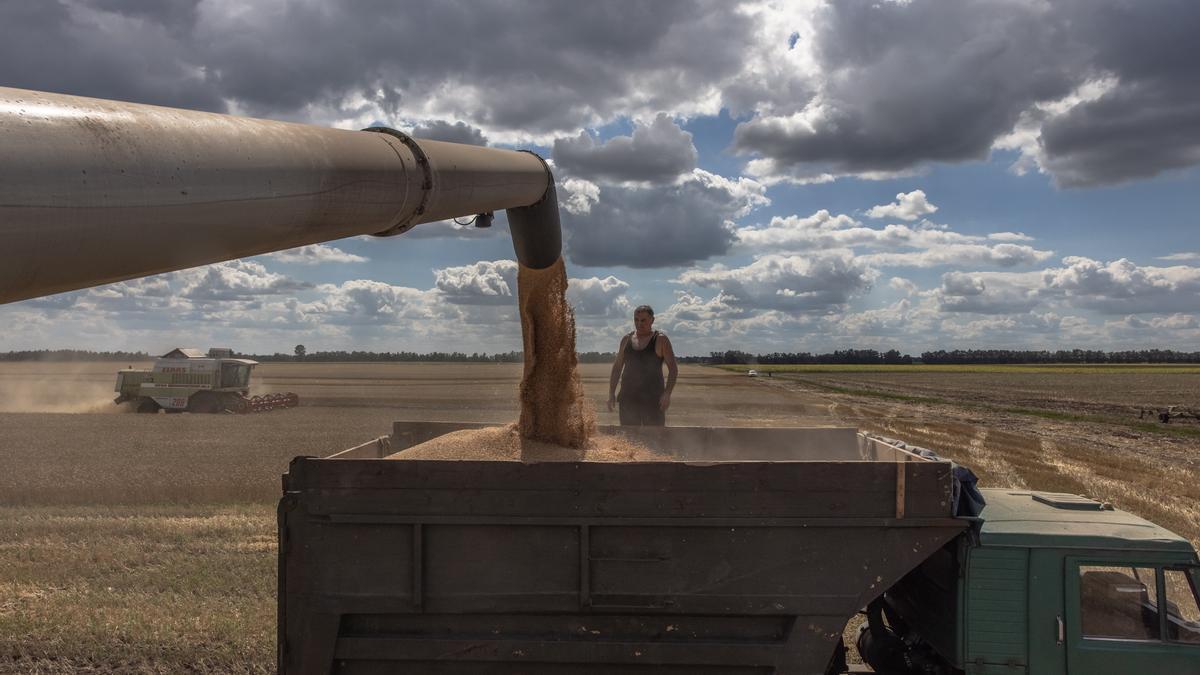 Ucrania ultima los preparativos para retomar las exportaciones de trigo interrumpidas por la guerra.