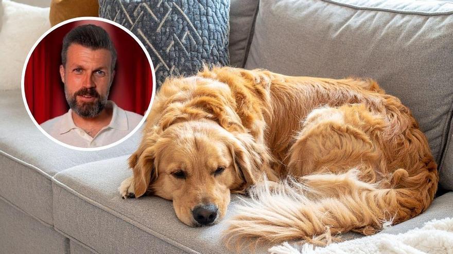 Javier Martínez Torres, entrenador canino: “Hay tres casos donde deberías pensarte muy bien dejar subir al perro al sofá”
