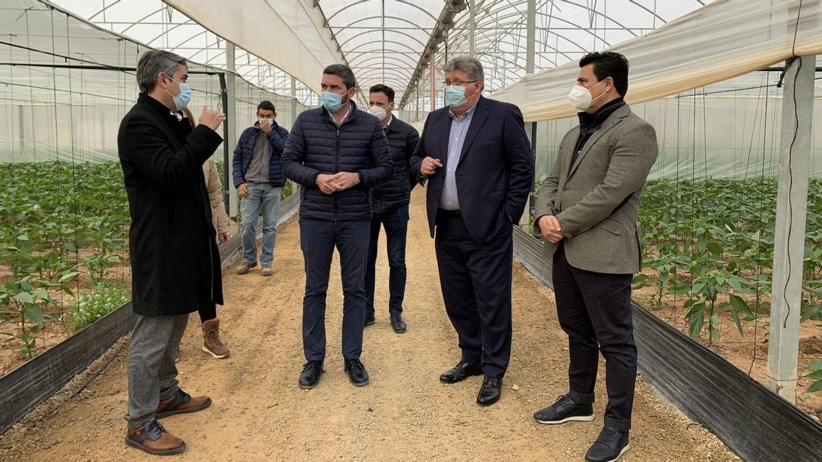 El consejero Antonio Luengo visitó ayer las instalaciones de Rufepa Tecnoagro, en San Javier. | A.S.J.