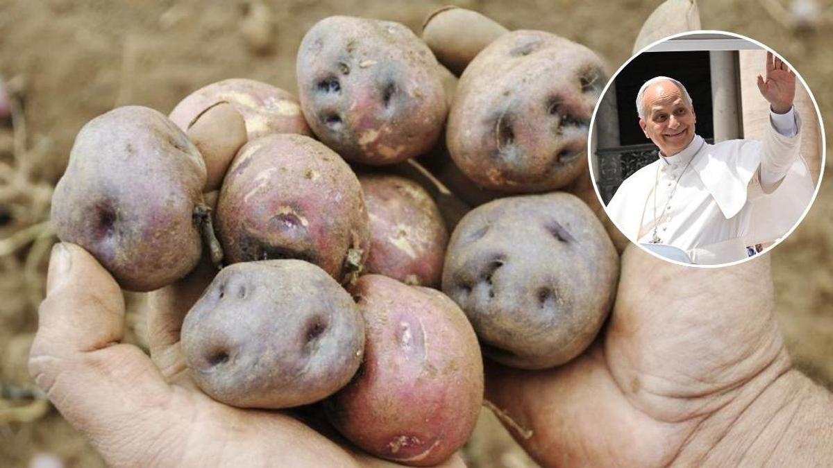 Las papas forman parte de la identidad culinaria de Canarias.
