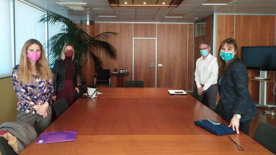 Imagen de la primera reunión entre enfermos de covid persistente y la Consejería de Sanidad de la DGA.