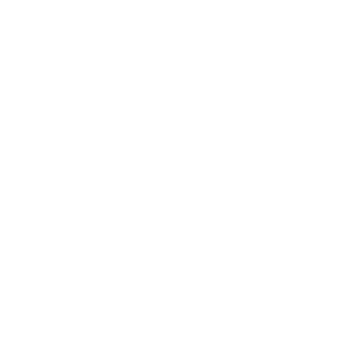 San Silvestre en Asturias: Más de 50 carreras para terminar el año