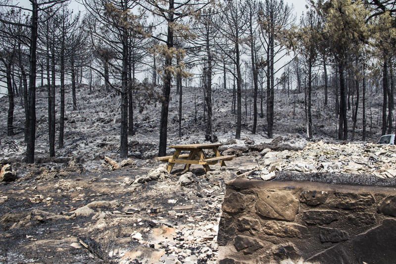 El paraje de El Surar, arrasado por el incendio