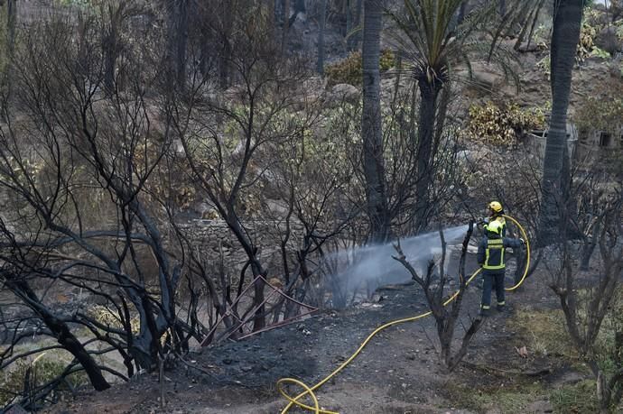 24-02-2020 MOGÁN. Afectados por el incendio,  en La Aldea y Tasarte. Fotógrafo: ANDRES CRUZ  | 24/02/2020 | Fotógrafo: Andrés Cruz