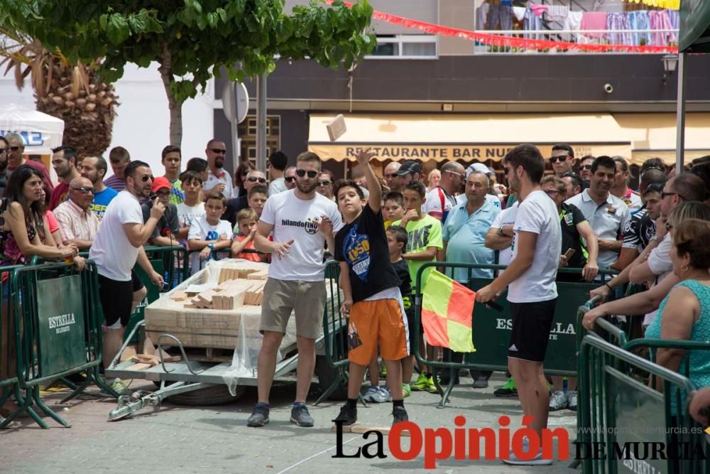 Campeonato del mundo de lanzamiento de 'Ladrillo d