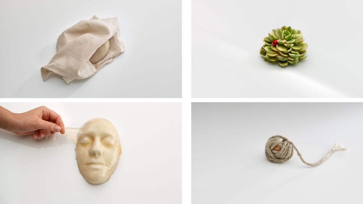Varios de los platos del menú degustación del 25º aniversario de Mugaritz. Varios de los platos del menú degustación del 25º aniversario de Mugaritz.